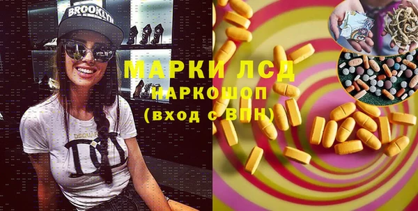 сатива Анжеро-Судженск