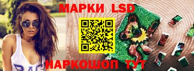 мдпв Гатчина