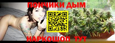 мдпв Гатчина