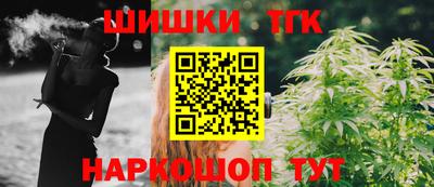 мдпв Гатчина