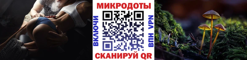 Псилоцибиновые грибы мухоморы  дарнет шоп  Ефремов 