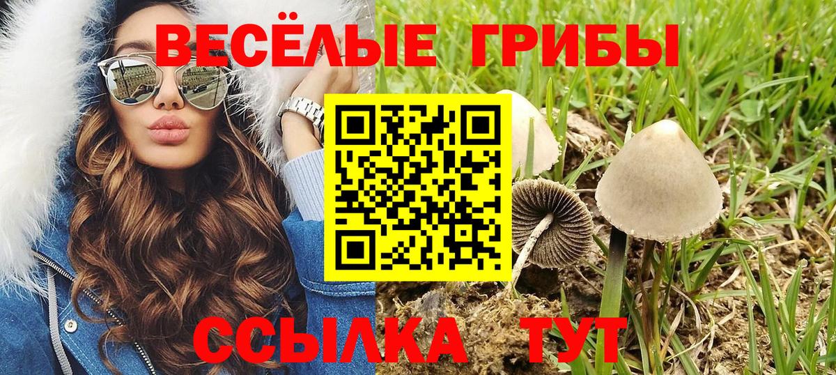 Галлюциногенные грибы MAGIC MUSHROOMS Ефремов
