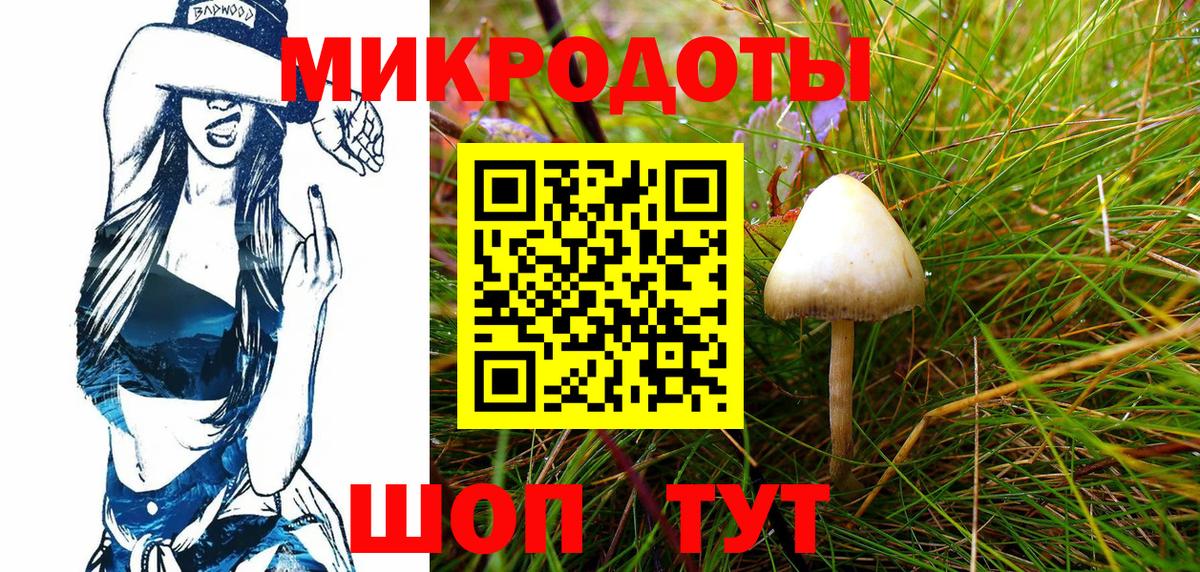 Псилоцибиновые грибы Psilocybe  Вход с VPN  Ефремов 